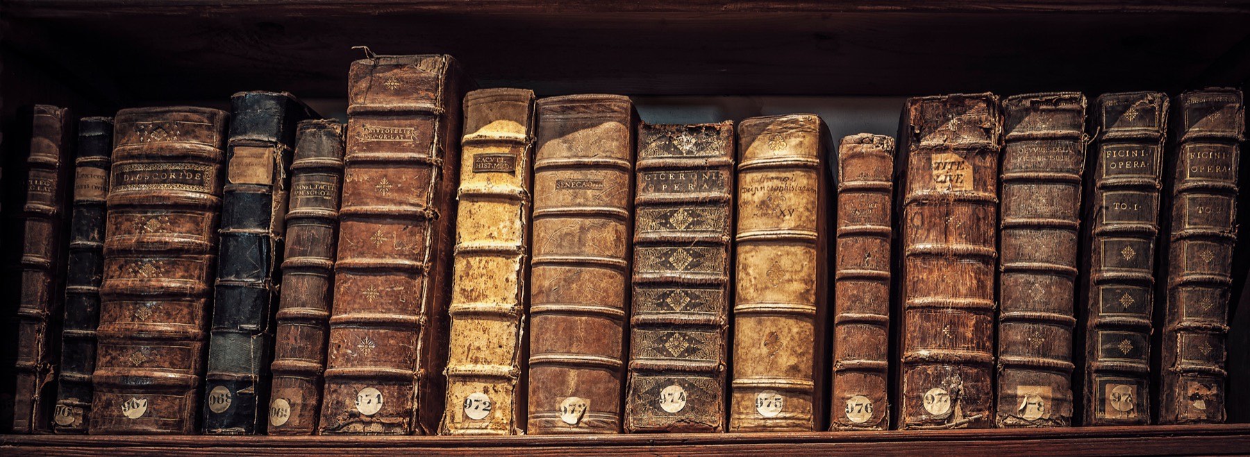 A shelf of antique leather-bound folios — Dioscorides, Tacitus, Seneca, Cicero and Ficino among them — their spines worn and numbered by hand