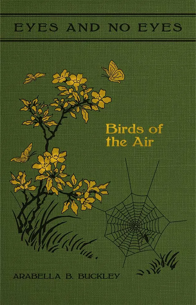 Cover of Birds of the Air by Arabella Buckley, Volume IV of the Eyes and No Eyes Series