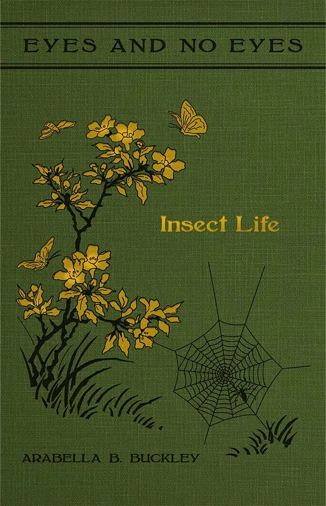 Cover of Insect Life by Arabella Buckley, Volume VI of the Eyes and No Eyes Series