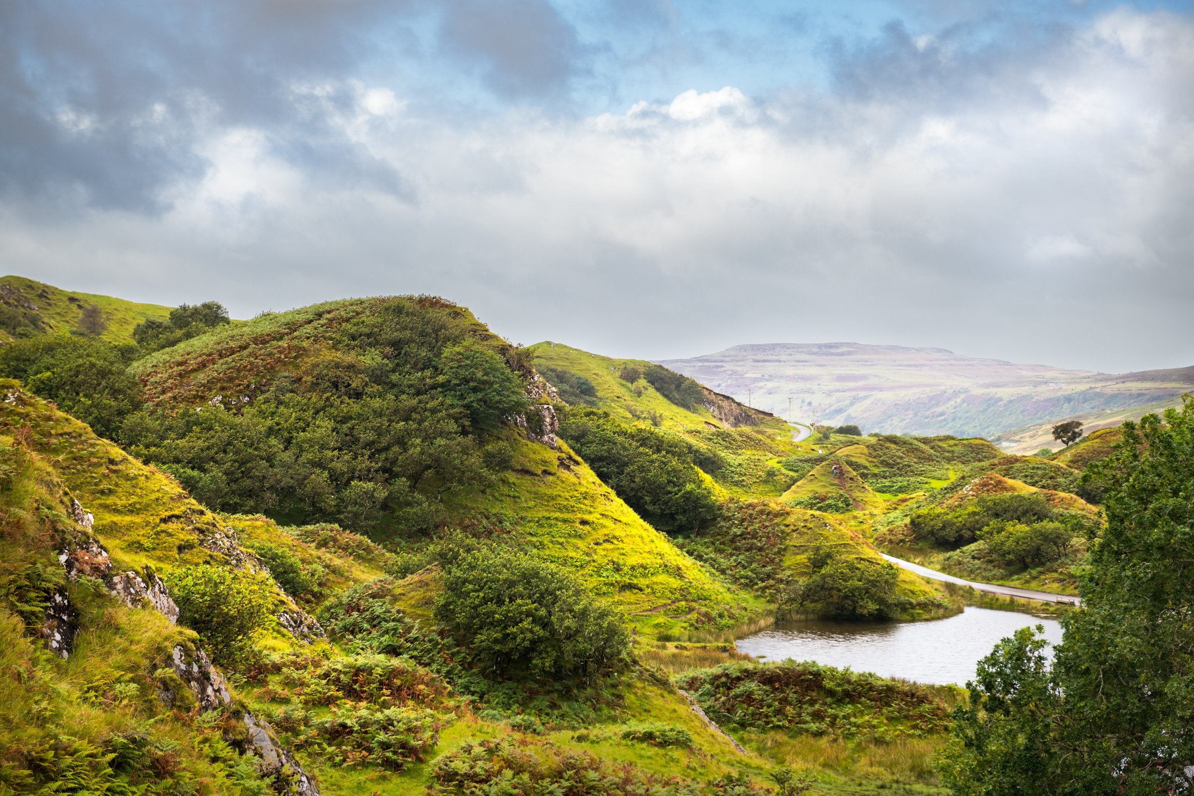A green glen of rounded hills and hawthorn, a small loch and a single winding road under a wide grey sky